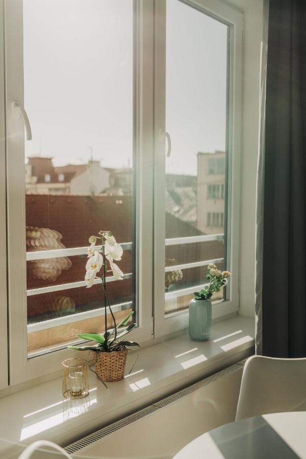 New Equipped Apartment In The City Center Plzeň Kültér fotó